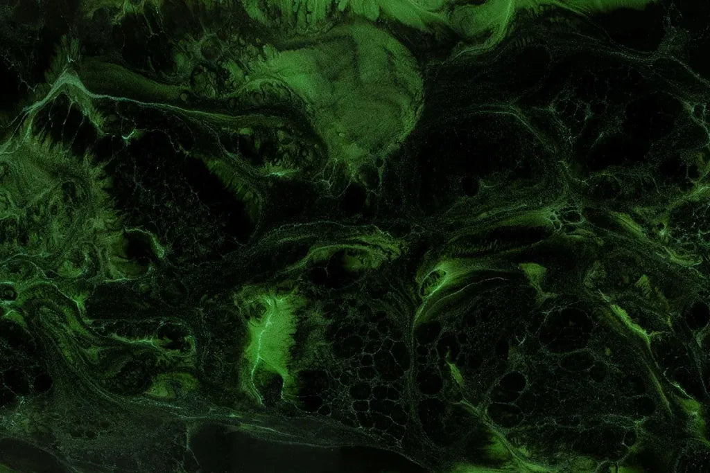 Żywica epoksydowa do podłóg (wielokolorowa)